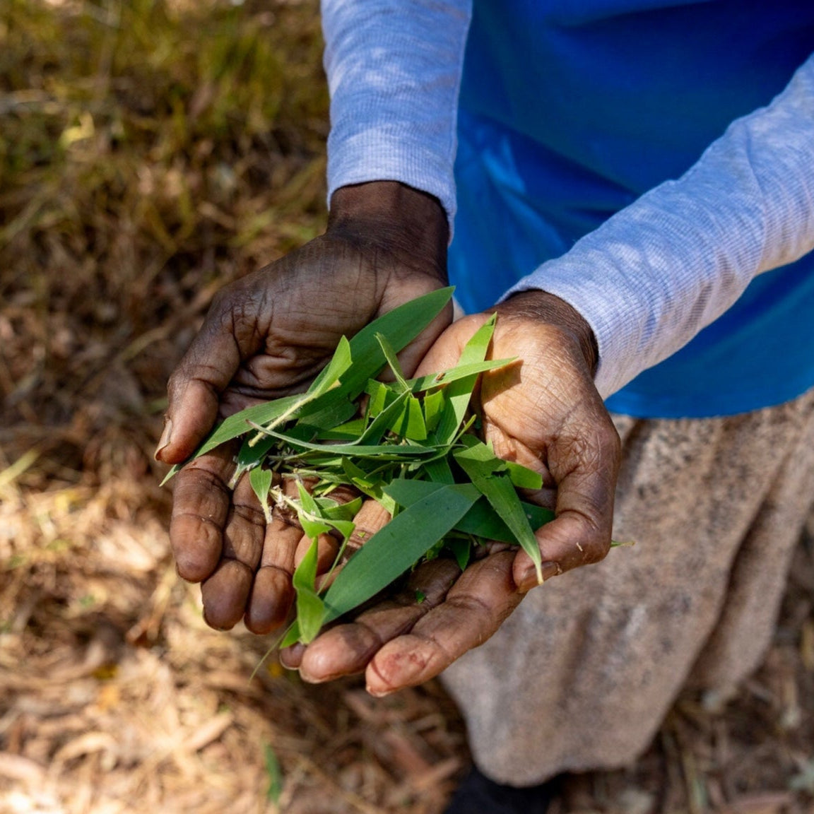 Nämbarra Skin Recovery Balm