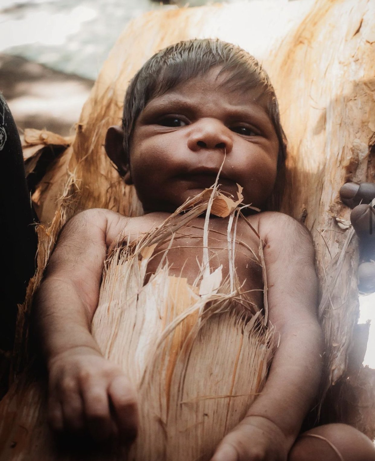 Donate a balm to Yolŋu