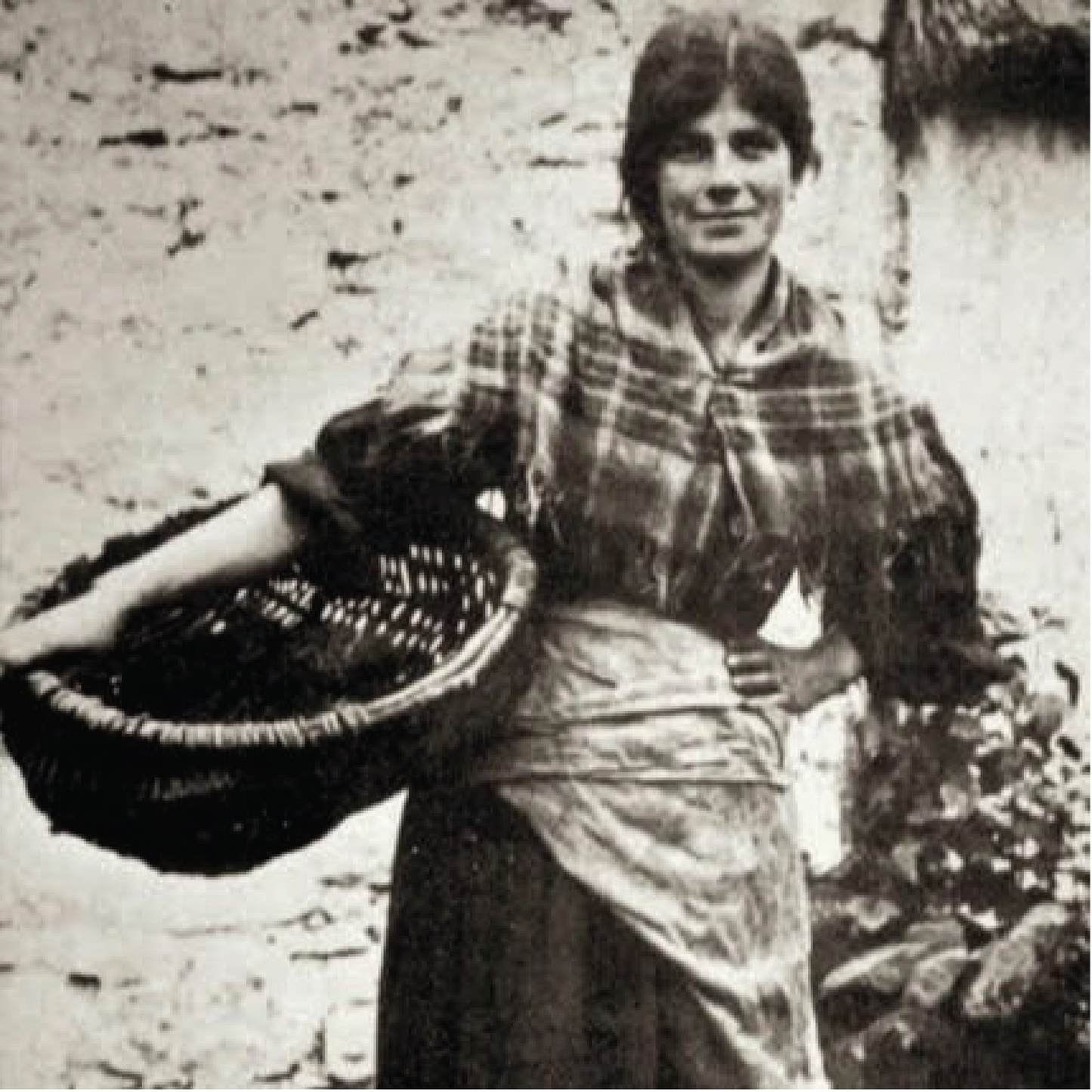 Lus na Gcnámh Briste Bone & Bruise Balm