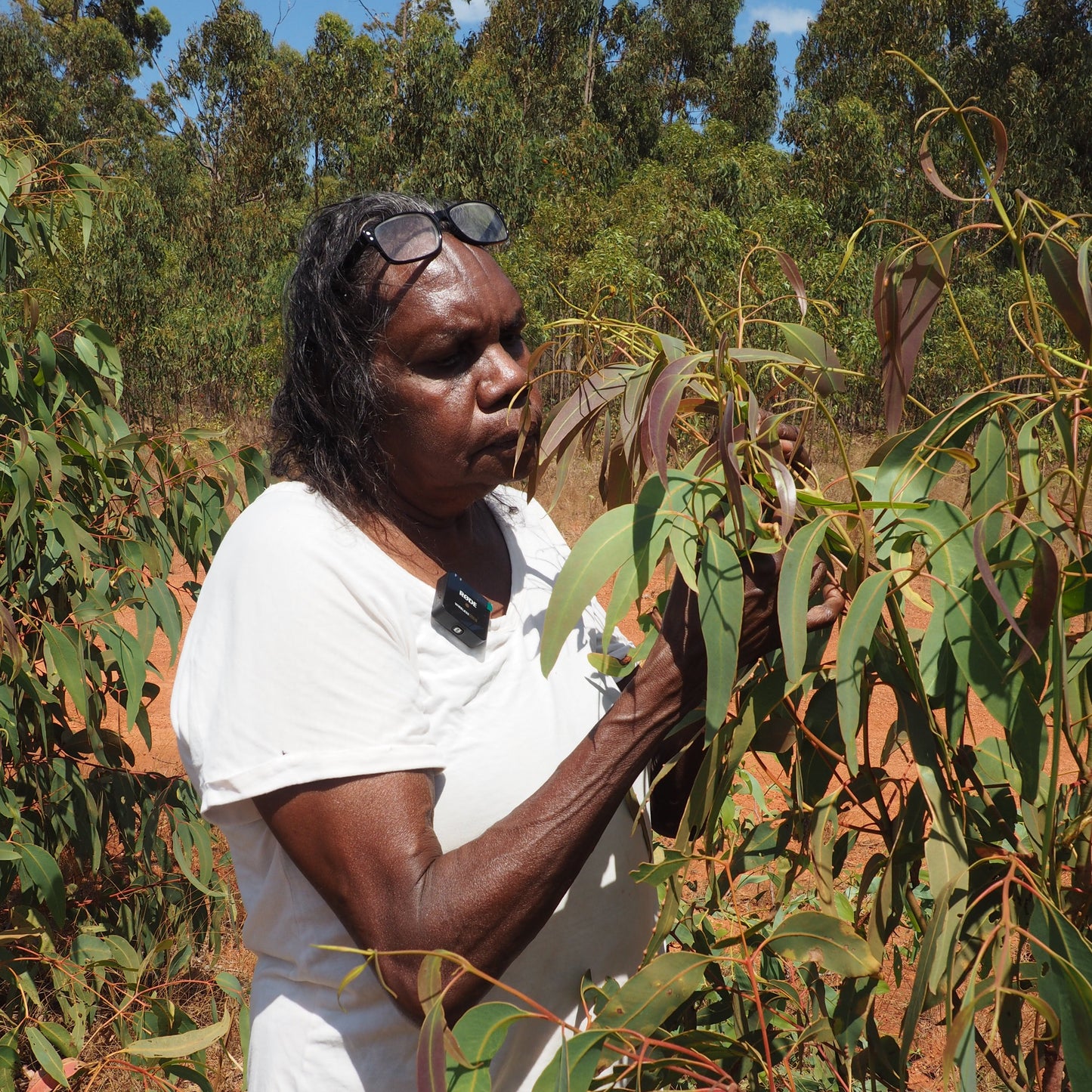 Gadayka Breathe Balm