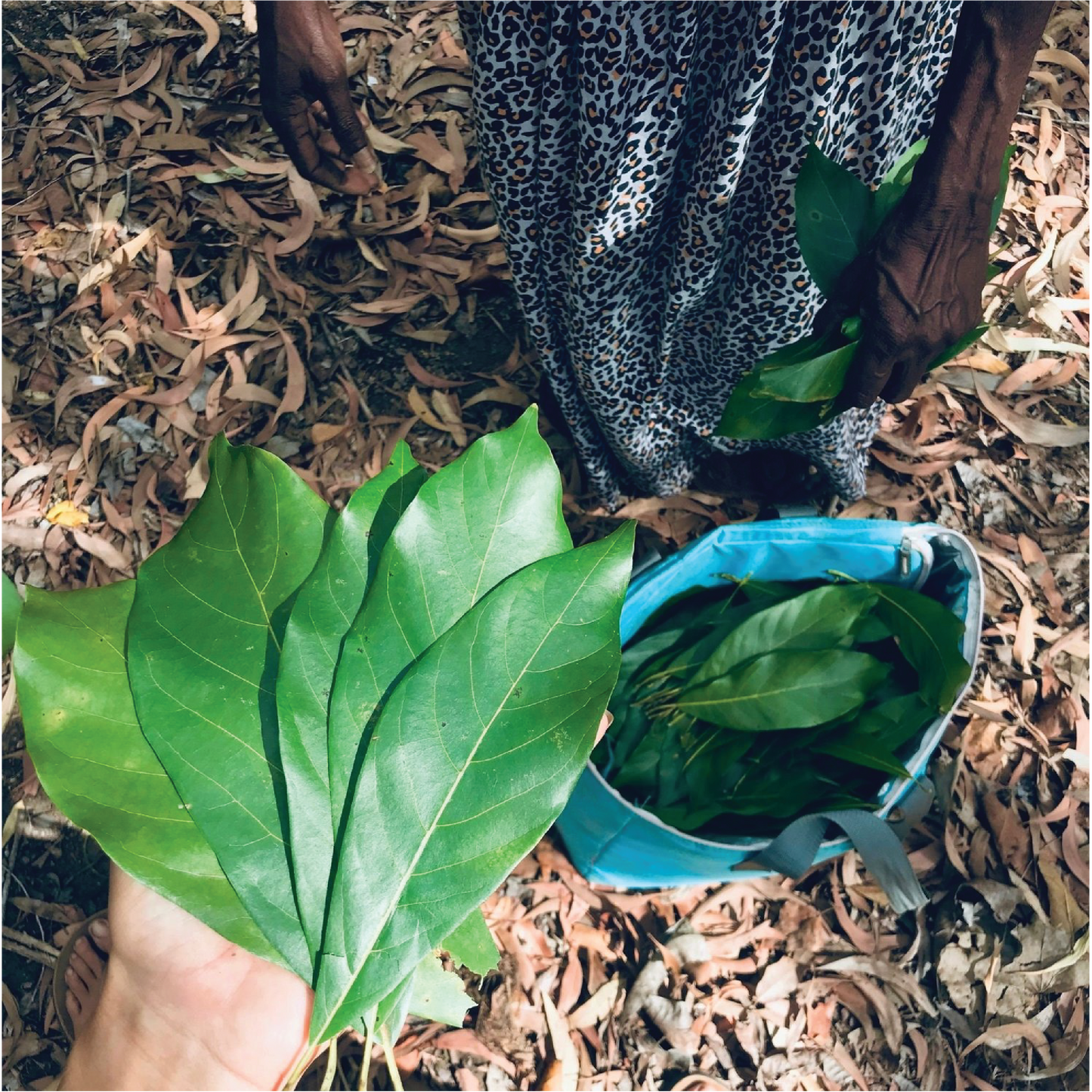 Butjiriŋaniŋ Healing Balm